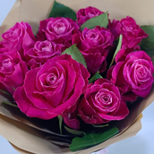 Fushia Rose Bunch