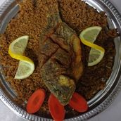 Tilapia meal
