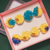 Blue Sky Box Cupcakes