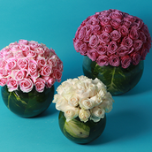 Roses In A Round Vase