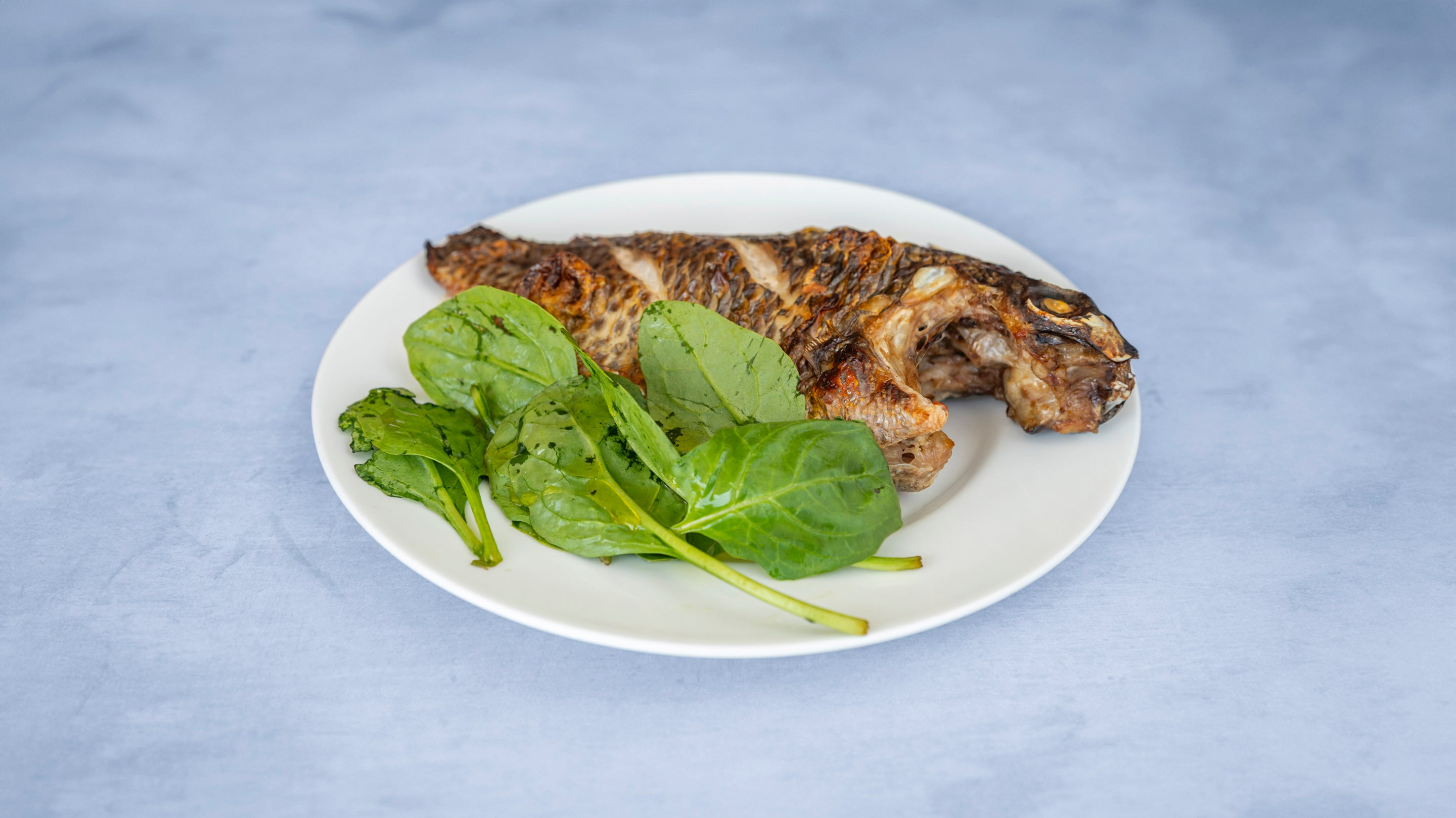 Tilapia