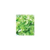 Green Salad