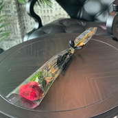 Single Rose