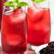 ice Hibiscus