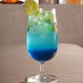 Blueberry Mojito