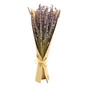 Bunch Lavender