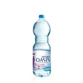 Water Bottle - Big