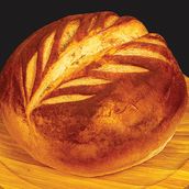 Sour Dough 250 Gm