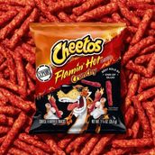 FATTA Grape Leaves with Cheetos