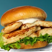 Grilled Haloumi Cheese 