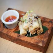 Vietnamese Chicken Spring Rolls