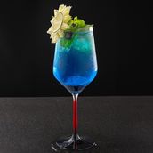 Blueberry Mojito