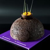 Chocolate Praline Cake