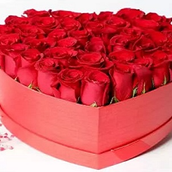 50 Red Rose In Heart Box (fb-11)