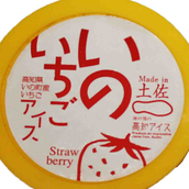 Japanese Ice Cream Yuzu