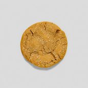 Tahini-Lotus Cookie