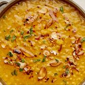 Lentil