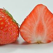 Extra Strawberry 