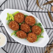 Falafel Plate
