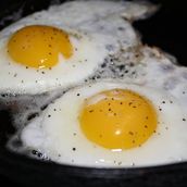Fried Eggs