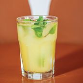 Pineapple Mint