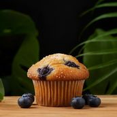 Blueberry Muffins