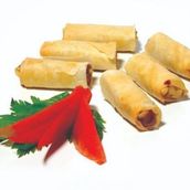 Vegetable Spring Rolls
