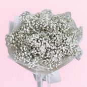 White Gypsophila Bouquet