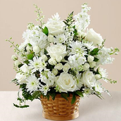 White Basket