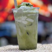 Matcha 