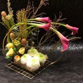 Arrangement 11