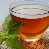 Mint Tea