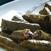 Vine Leaves 