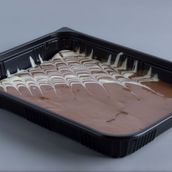 Nutella Crepe