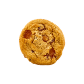 Pecan Toffee Caramel Cookie