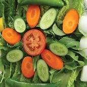 lettuce Green Bowl