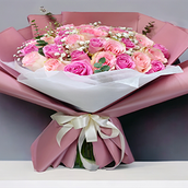 Light And Dark Pink Roses