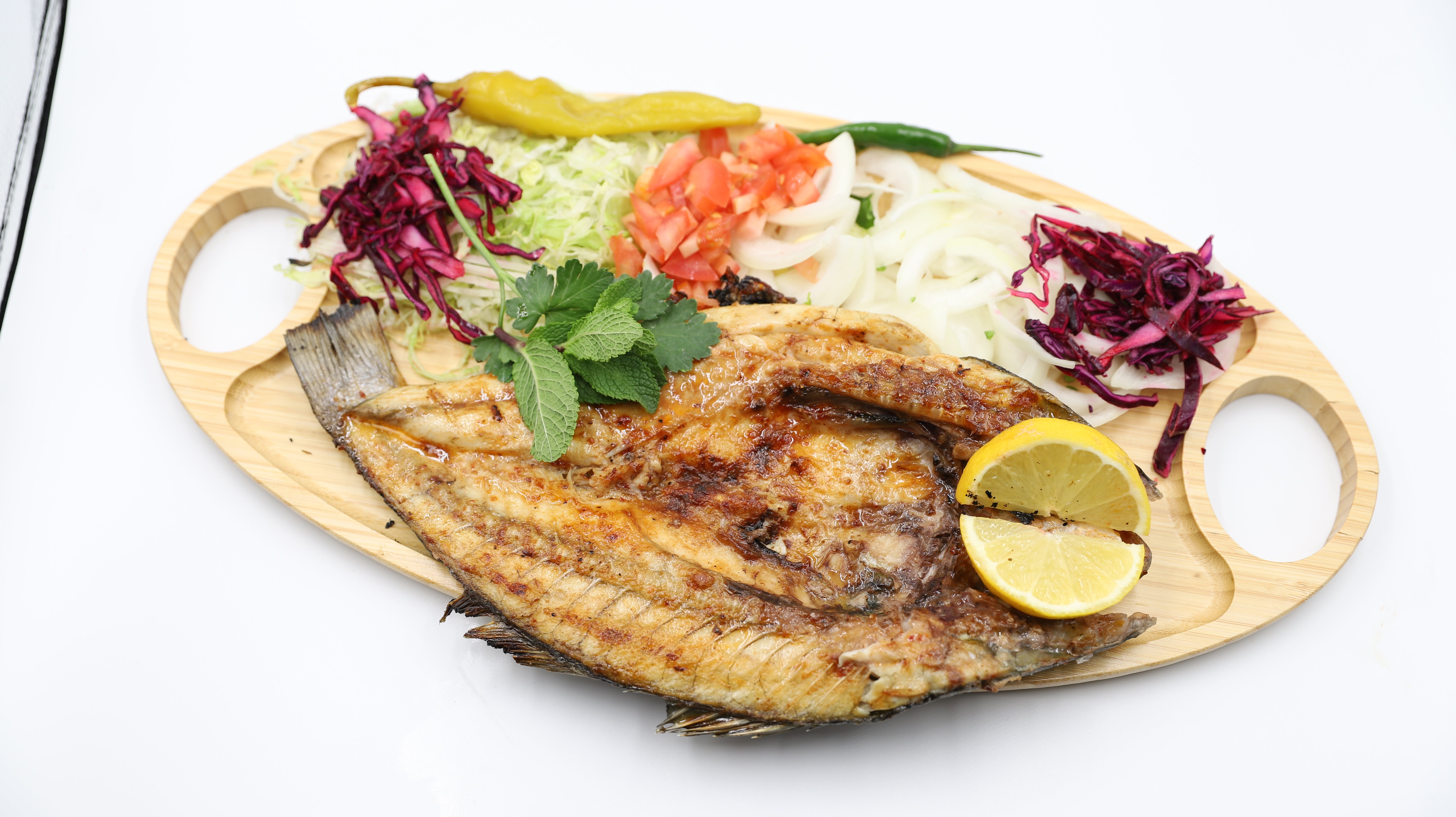 Fish