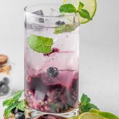 Blueberry Mojito
