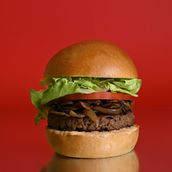 Switch Burger (Veg) 