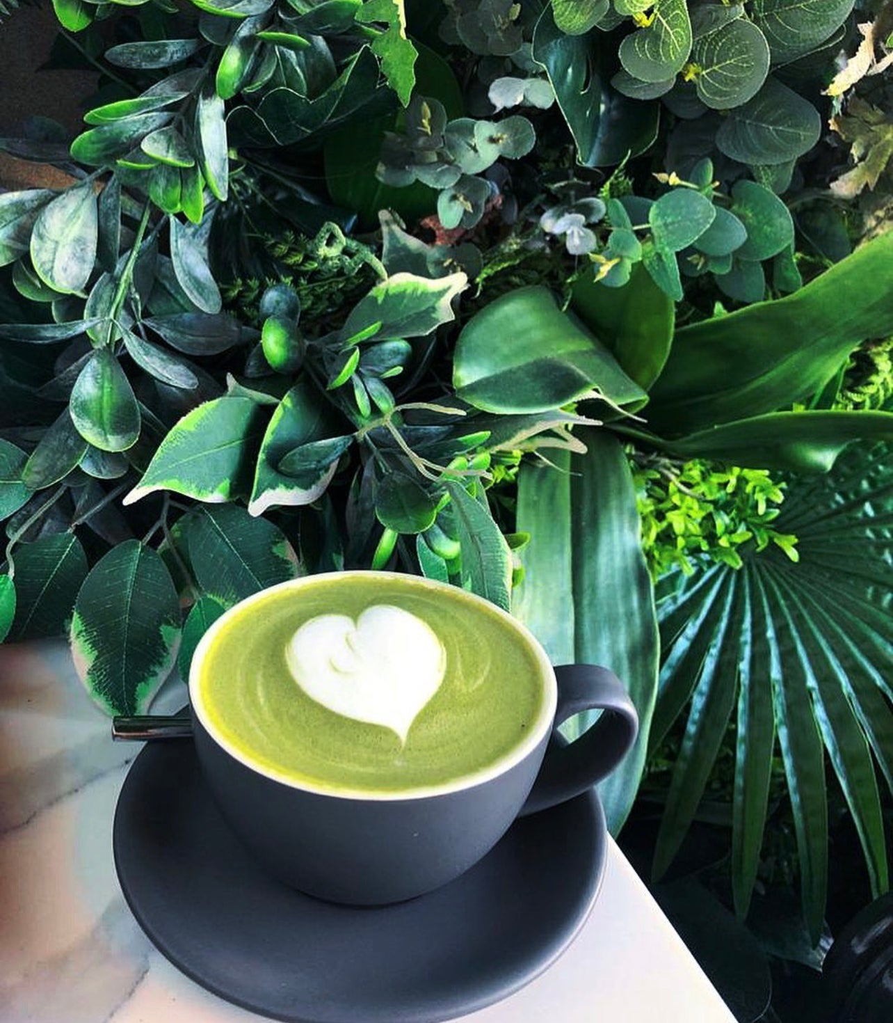 Matcha Latte