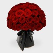 55 Red Rose Dome
