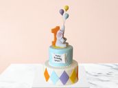 Elephant Baby 1st Birthday Cake  2 Layers