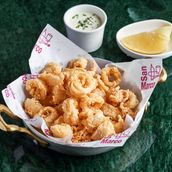 Fresh Calamari