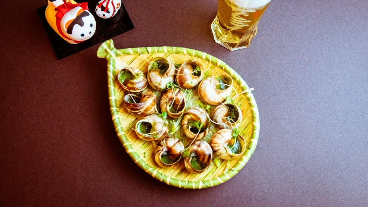 Snails x6 or x12