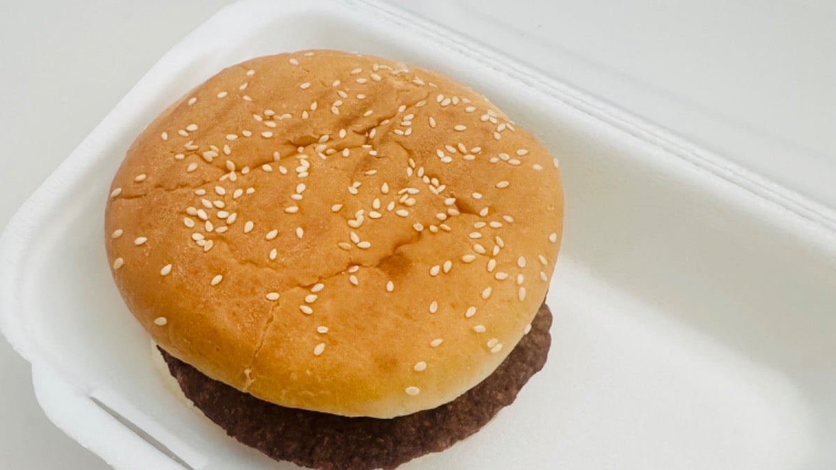 Chicken Burger