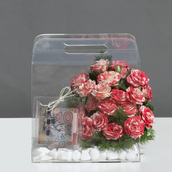 Small Acrylic Bag