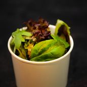 Side Salad Green Leaves And Dressing