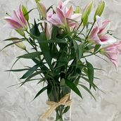 Casablanca Pink