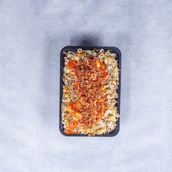 Medium Koshary Plate